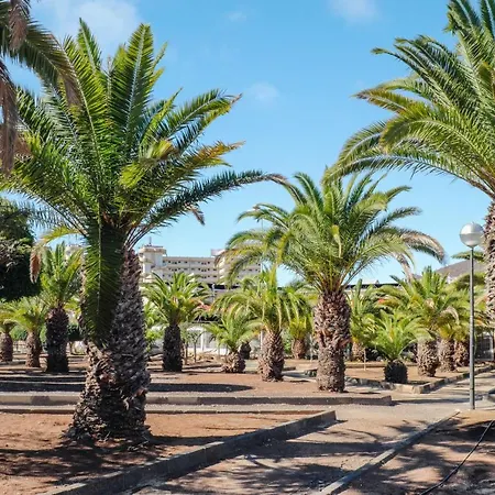 Apartment Estudio Los Cristianos 10