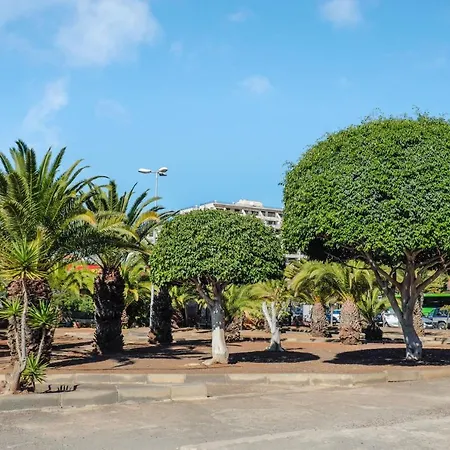 Estudio Los Cristianos 10 Apartment